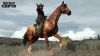 Red Dead Redemption - 8